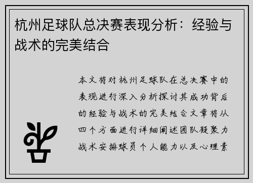 杭州足球队总决赛表现分析：经验与战术的完美结合